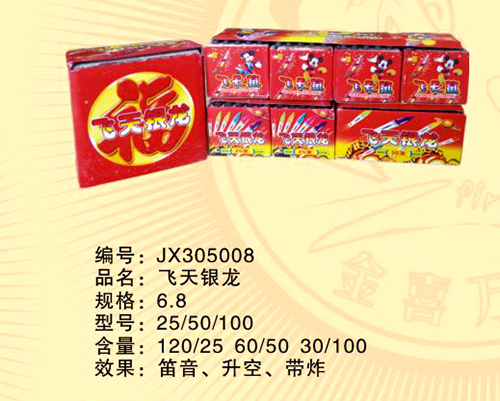 飞天银龙